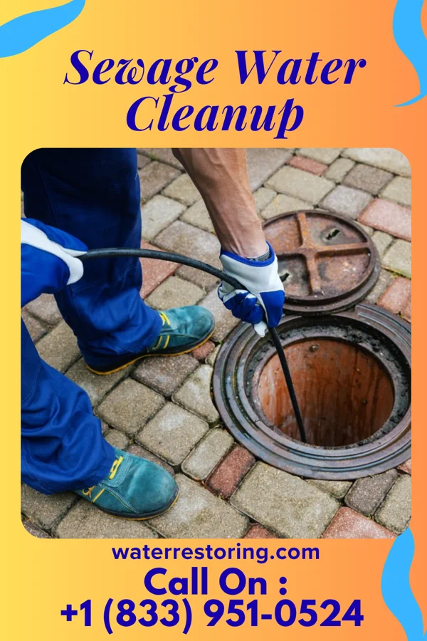 Sewage Water Cleanup in North Randall, OH